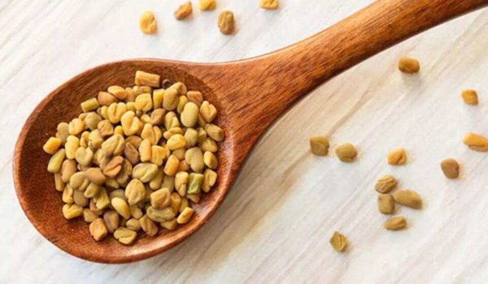 fenugreek seed