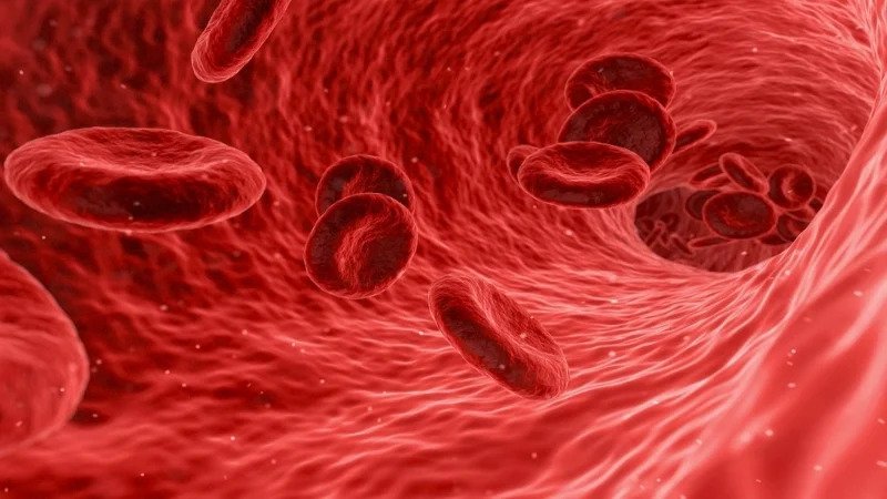 anemia-pickynews