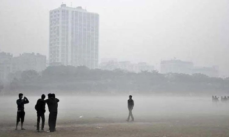 cold-in-dhaka-pickynews24