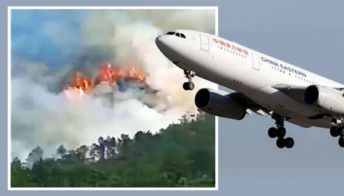 plane-crash-pickynews24