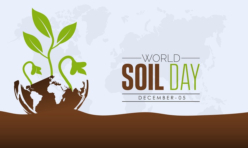 soil-day-pickynews24